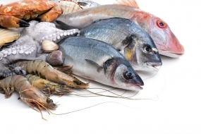 Sri Lanka earns a profit of Rs 1200 million by fish exports last year