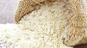 Rice imports fallen to 23.5 million US dollars in February