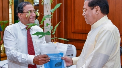 Distribute plants depicting the importance of environmental  conservation