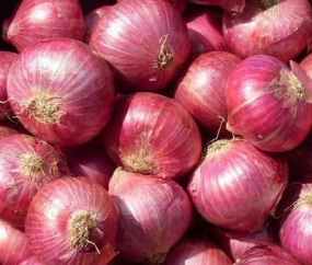Tax on imported big onion revised