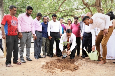 Tree planting  at Infrmation Department