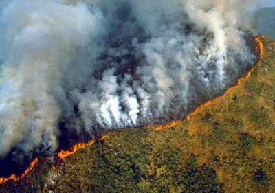 Heart of the Amazon fires