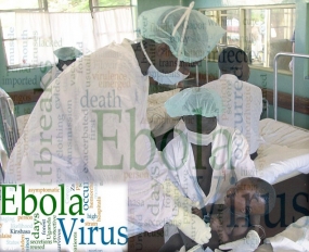 10,000 new Ebola cases per week could be seen: WHO