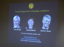 Three share Nobel for medicine
