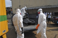 WHO Official Highlights Cuba's Role against Ebola