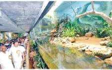 Sri Lankan anacondas wow zoo visitors in India