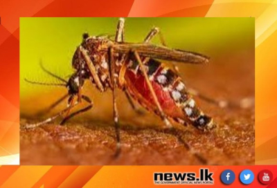 Enhanced Dengue Control Program implemented in the Western Province
