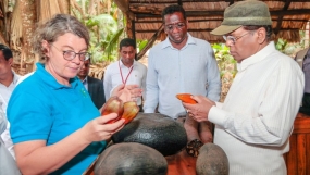 President takes part in a series of events in Seychelles
