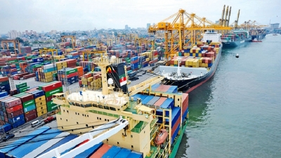 EDB mulls export expansion in US market