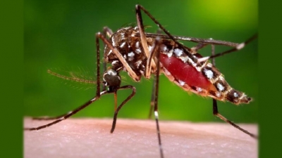 Island-wide dengue cases reach 58,834