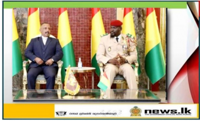 Ambassador Kananathan presents Credentials in Guinea