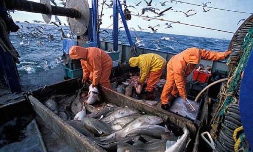 Solutions for fishing community issues arising from purchasing fish from foreign vessels