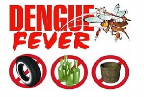 Health Ministry to draw up a comprehensive dengue control campaign