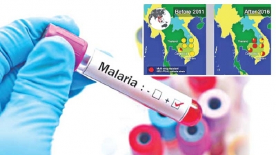 Drug-resistant malaria is curable