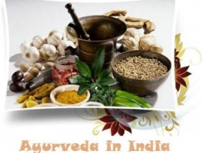 Sri Lanka, Kerala to enhance cooperation in  Ayurveda field