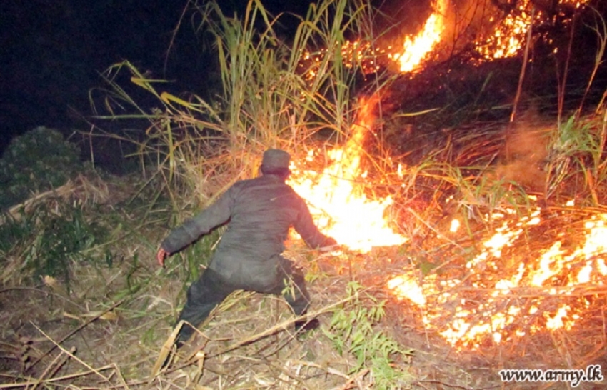 Troops Douse Wildfire in Poonagala