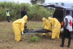 WHO: Number of Dead and Infected by Ebola Grows