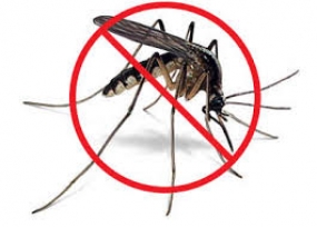 Japan introduces a pesticide to combat dengue