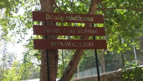 Bio Park  at Pinnawela Zoo