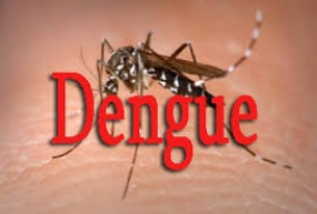 Drop in dengue death rate