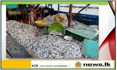 Navy seizes an Indian trawler for poaching in Sri Lanka waters