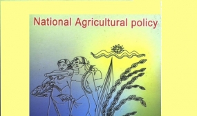 Development of New Agriculture Policy