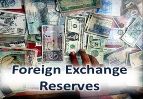 Lanka’s forex reserve increases to US$ 7.9 bn in February