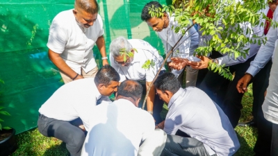 President joins with National Tree Planting Programme
