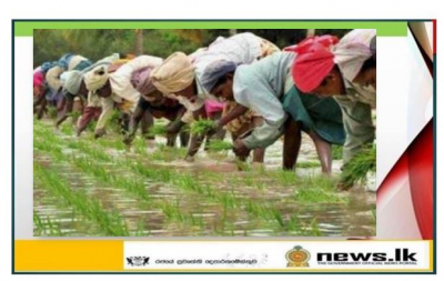 Today marks the commencement of the cultivation of fallow paddy lands
