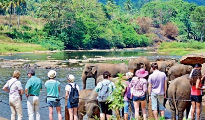 Govt  and PCs must cooperate to boost tourism
