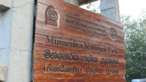 Minneriya National Park not closed, remains open