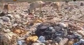 People in Negombo faced with severe garbage issue