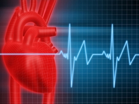 Health Ministry to establish a Human Heart Valve Bank at LRH