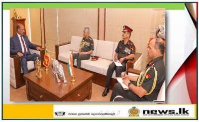 Indian Army Chief meets Defence Secretary