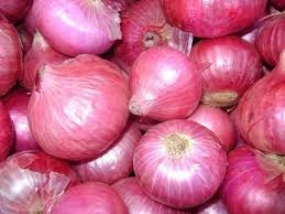 Import Duty on Big Onions up by Rs.15