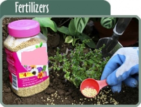 Govt. to establish a standard for fertilizers