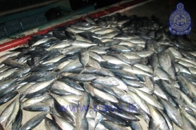 Navy arrests thirty-one local fishermen engaged in illegal fishing