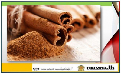 Sri Lanka Embassy finalises certification for export of Sri Lankan Cinnamon in bark form to Brazilian market