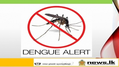 Western Province records highest number of dengue cases