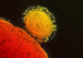 MERS virus: Saudi Arabia reports 25 new cases, death toll rises to 109