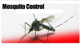 Mosquito Control Week ends; Legal action against 2,877 mosquito breeders