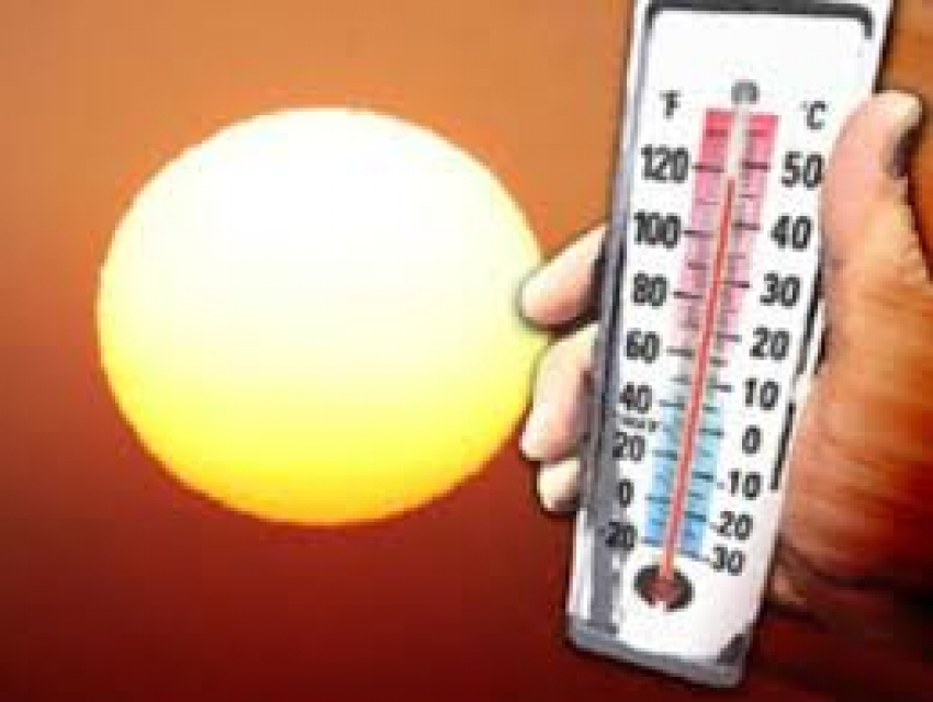 Beware of heat stroke: Schools told to exercise caution