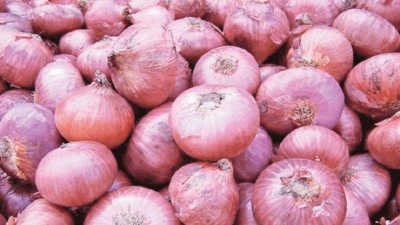 ‘Customs duty on B onion imports reduced by Rs. 39 per kg’