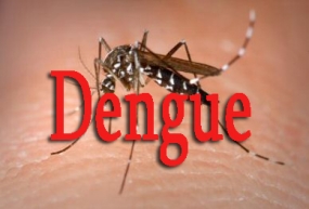 A National Dengue Prevention Week begins today