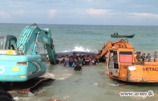 SL Army soldiers free beached whale in eight-hour operation