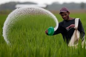 Fertilizer subsidy to farmers in direct cash payments