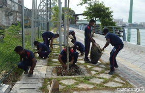 Navy celebrates the International Day for the Conservation of the Mangrove Ecosystem