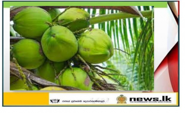Island Wide Coconut Development Programs in Celebration of ...