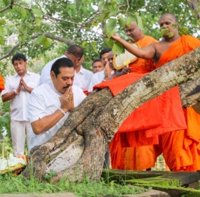President worships Jayasri Maha Bodhi