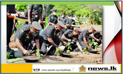 Army Gives Its Push to Government’s National Home Gardening Drive - 2022’